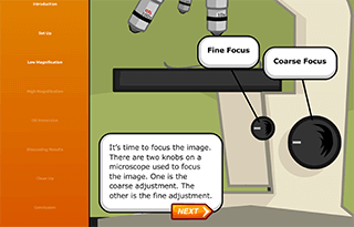 Interactive microscope diagram with fine focus and coarse focus controls labeled