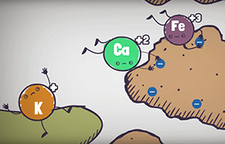 Illustrated cartoon mineral characters including Iron (Fe), Calcium (Ca), and Potassium (K) with positive and negative charge symbols