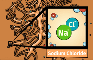 Sodium chloride molecule diagram overlaid on illustrated soil cross-section
